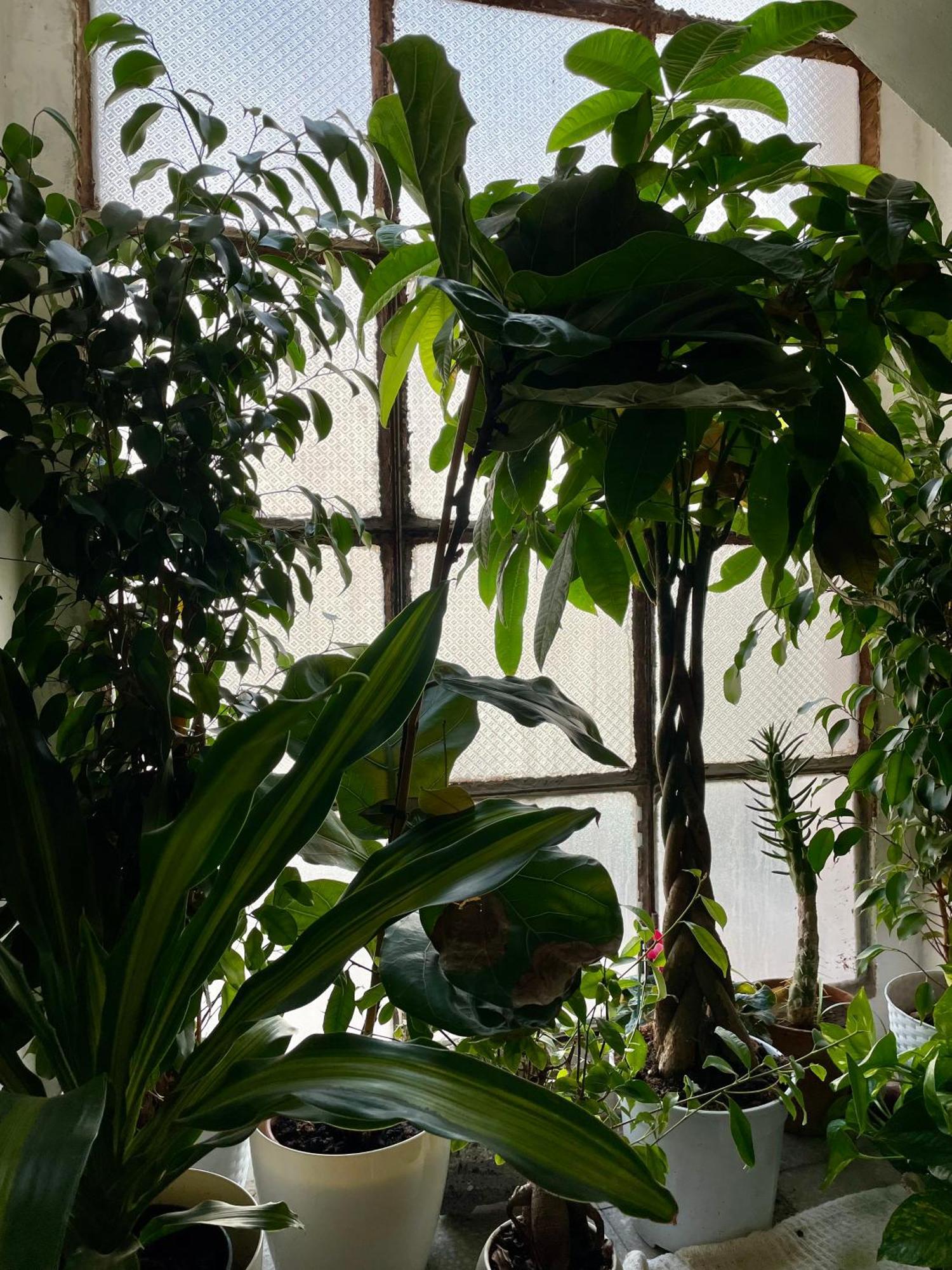 Lorenzo'S House Catania City Centre - Comfortable Large Apartment With 2 Bedrooms And 2 Baths, Close To Trains, Metro And Bus Station Екстериор снимка