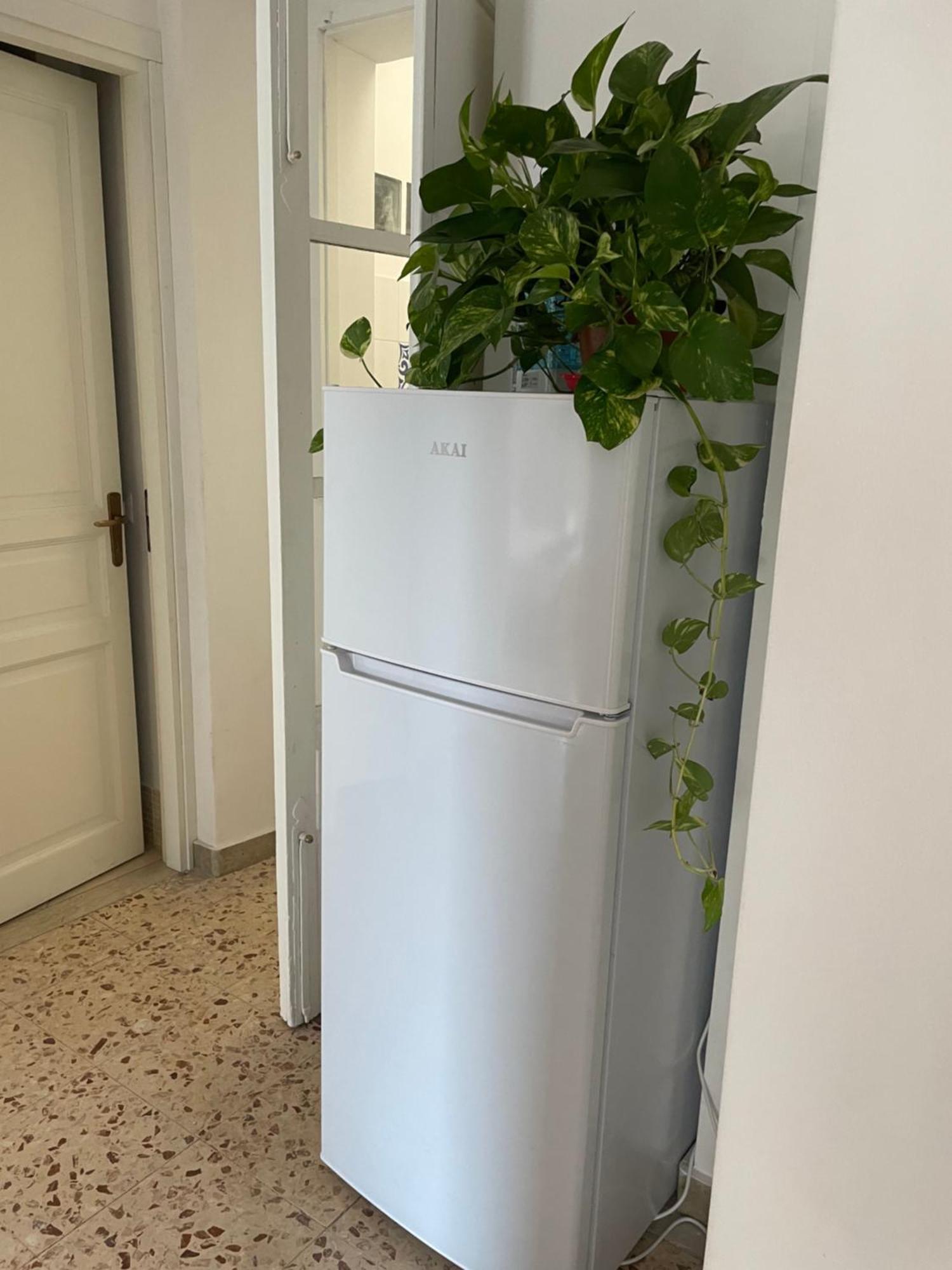 Lorenzo'S House Catania City Centre - Comfortable Large Apartment With 2 Bedrooms And 2 Baths, Close To Trains, Metro And Bus Station Екстериор снимка